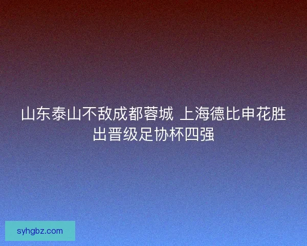 山东泰山不敌成都蓉城 上海德比申花胜出晋级足协杯四强